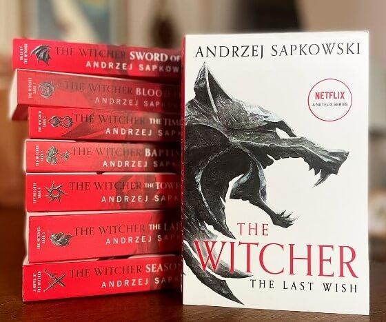 The Witcher Books Overview 1