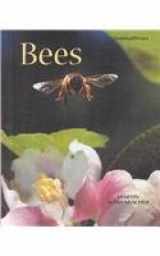 9780761413929-0761413928-Bees (Animalways)