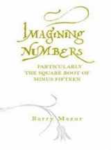 9780713996302-0713996307-Imagining Numbers: (Particularly The Square Root Of Minus Fifteen)