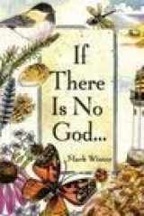 9781589197848-1589197844-If There Is No God: Glimpses of God in Everyday Life