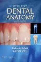 9780781768603-0781768608-Woelfel's Dental Anatomy: Its Relevance to Dentistry