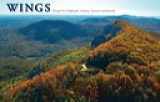 9780984442805-0984442804-Wings; Flying Over Highlands, Cashiers, Toxaway and Beyond