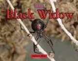 9780737717655-0737717653-Black Widow (Bugs)