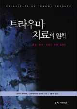9788968661969-8968661960-Principles of trauma therapy (Korean Edition)