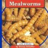 9780736802093-0736802096-Mealworms (Life Cycles.)