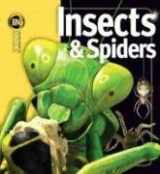 9781416938682-1416938680-Insects & Spiders