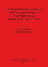 9781407309095-1407309099-Intra-Site Obsidian Distribution and Consumption Patterns in Northern Belize and the North-Eastern Peten (BAR International)