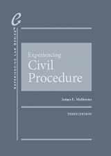 9781684678334-1684678331-Experiencing Civil Procedure (Experiencing Law Series)