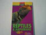 9780792234197-0792234197-Reptiles & Amphibians (My First Pocket Guide)