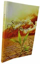 9780615541297-0615541291-Surprised by a Paradoxical God: Finding Truth Masquerading as Contradiction