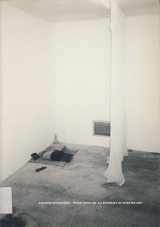 9783775710442-3775710442-Gregor Schneider: Venice Biennale 2001