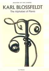 9783823803645-3823803646-Karl Blossfeldt: The Alphabet of Plants