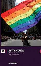 9781633530348-1633530345-Gay America: The Road to Gay Marriage and LGBT Rights