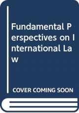 9780314063991-0314063994-Fundamental Perspectives on International Law