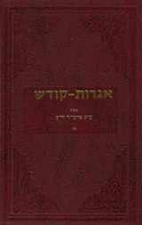 9780826658166-0826658164-Igrois Kodesh - Rebbe - Vol.16 (Sifriy. Otsar Ha-Hasidim, Lyubavitsh) (English, Hebrew and Yiddish Edition)