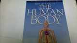 9781905704095-1905704097-The Atlas of The Human Body