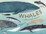 9780399581830-0399581839-Whales: An Illustrated Celebration