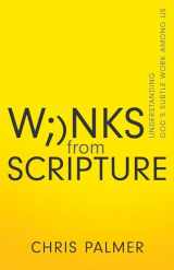 9781641238465-1641238461-Winks from Scripture: Understanding God’s Subtle Work Among Us