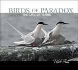 9780764357640-0764357646-Birds of Paradox: The Life of Terns