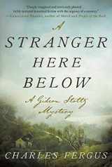 9781951627447-195162744X-A Stranger Here Below: A Gideon Stoltz Mystery (Gideon Stoltz Mystery Series)