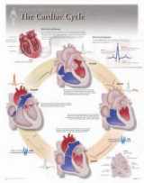 9781935612049-1935612042-The Cardiac Cycle Wall Chart: 8140