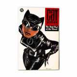 9781563899089-1563899086-Catwoman: The Dark End of the Street
