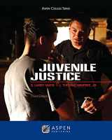 9780735507685-0735507686-Juvenile Justice (Aspen Criminal Justice)