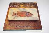9780805043662-0805043667-Discovering Fossil Fishes (Henry Holt Reference Book)