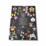 9780966134438-0966134435-Orchids: The Pictorial Encyclopedia Of Oncidium