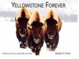 9781591521693-1591521696-Yellowstone Forever: A Decade in Yellowstone National Park
