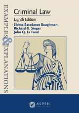 9781543839357-1543839355-Examples & Explanations for Criminal Law (Examples & Explanations Series)