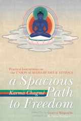 9781559393409-1559393408-A Spacious Path to Freedom: Practical Instructions on the Union of Mahamudra and Atiyoga