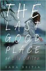 9780738720685-0738720682-The Last Good Place of Lily Odilon