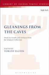 9780567113009-0567113000-Gleanings from the Caves: Dead Sea Scrolls and Artefacts from the Schøyen Collection (The Library of Second Temple Studies, 71)