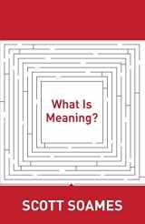 9780691156392-0691156395-What Is Meaning? (Soochow University Lectures in Philosophy, 4)