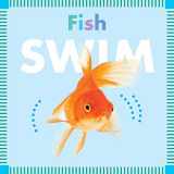 9781681521985-1681521989-Fish Swim (Amicus Ink Board Books)