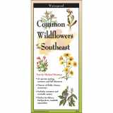 9781621263890-1621263894-Earth Sky + Water FoldingGuide™ - Common Wildflowers of the Southeast - 10 Panel Foldable Laminated Nature Identification Guide