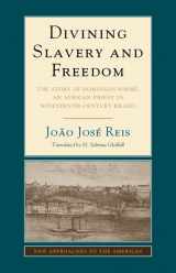 9781107439092-1107439094-Divining Slavery and Freedom: The Story of Domingos Sodré, an African Priest in Nineteenth-Century Brazil (New Approaches to the Americas)