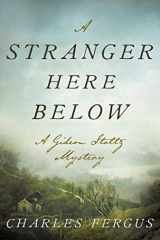 9781510738508-1510738509-A Stranger Here Below: A Gideon Stoltz Mystery (Gideon Stoltz Mystery Series)