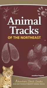 9781647550769-1647550769-Animal Tracks of the Northeast: Your Way to Easily Identify Animal Tracks (Adventure Quick Guides)