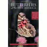 9781402786204-1402786204-Butterflies of North America