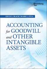 9781119157151-1119157153-Accounting for Goodwill and Other Intangible Assets (Wiley Corporate F&a)