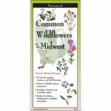 9781621263913-1621263916-Earth Sky + Water FoldingGuide™ - Common Wildflowers of the Midwest - 10 Panel Foldable Laminated Nature Identification Guide
