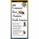 9781621263272-1621263274-Common Bees of Eastern North America (Foldingguides(tm))