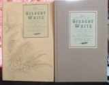 9780712615570-0712615571-The Journals of Gilbert White 1774 1783 (Vol 2)