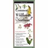9781621263876-1621263878-Earth Sky + Water FoldingGuide™ - Common Wildflowers of the Northeast - 10 Panel Foldable Laminated Nature Identification Guide