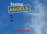 9781541187443-154118744X-Seeing Angels in the Sky