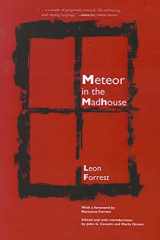 9780810128057-0810128055-Meteor in the Madhouse