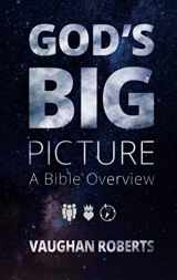 9781844743704-1844743705-God's Big Picture