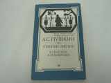 9785239014912-5239014914-"Evgeniĭ Onegin" v siluėtakh V. Gelʹmersena (Russian Edition)